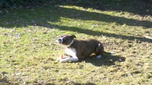 2013-03-05 12.05.55.jpg